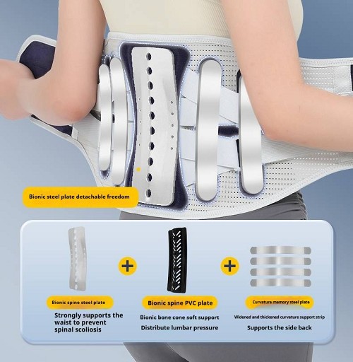 back brace cvs (3)